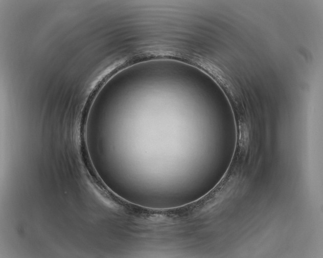 X0000115800390200911131404