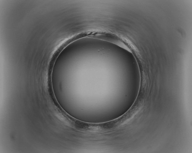 X0000115800391200911131404