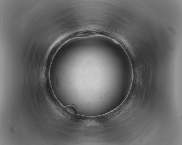 X0000115800392200911131404