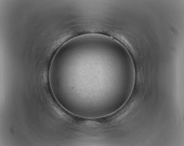 X0000115800393200911131404