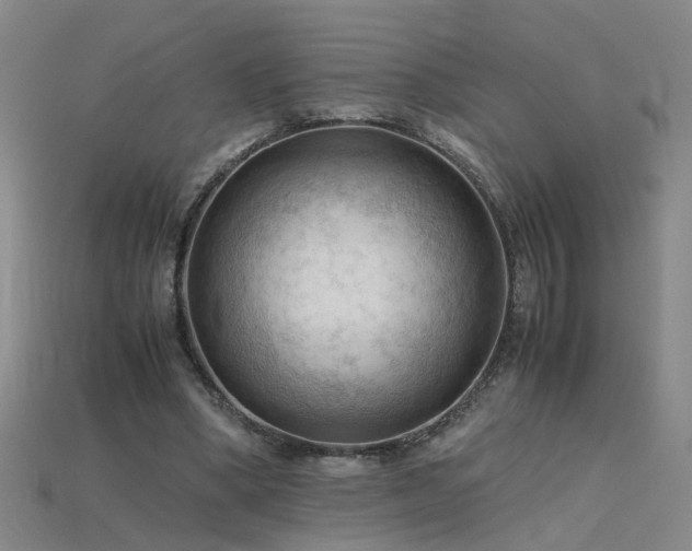 X0000115800394200911131404