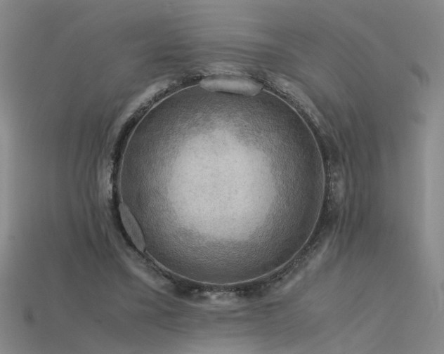 X0000115800395200911131404