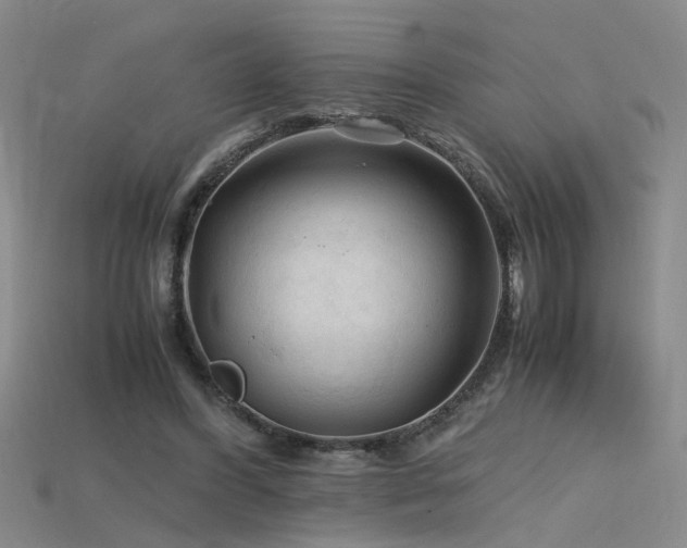 X0000115800396200911131404