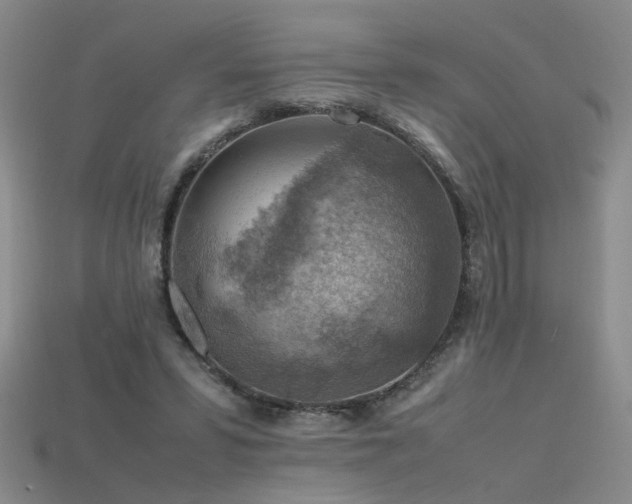 X0000115800399200911131404