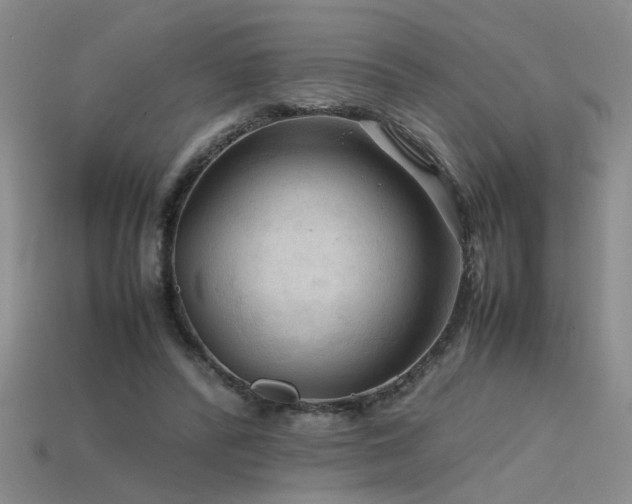 X0000115800400200911131404