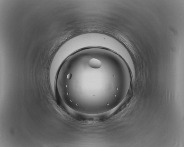 X0000115800401200911131404