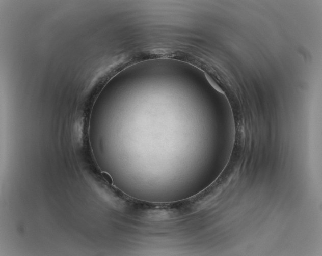 X0000115800404200911131404