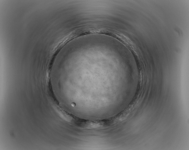 X0000115800405200911131404