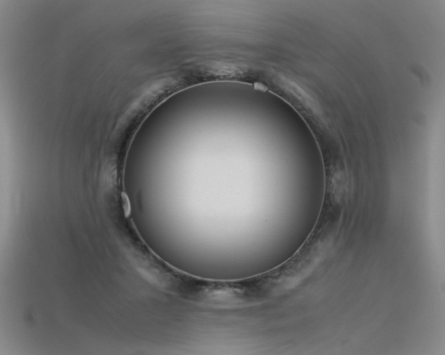 X0000115800407200911131404