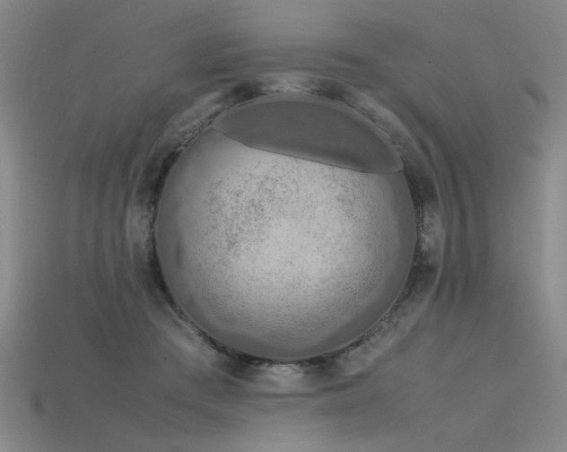 X0000115800409200911131404