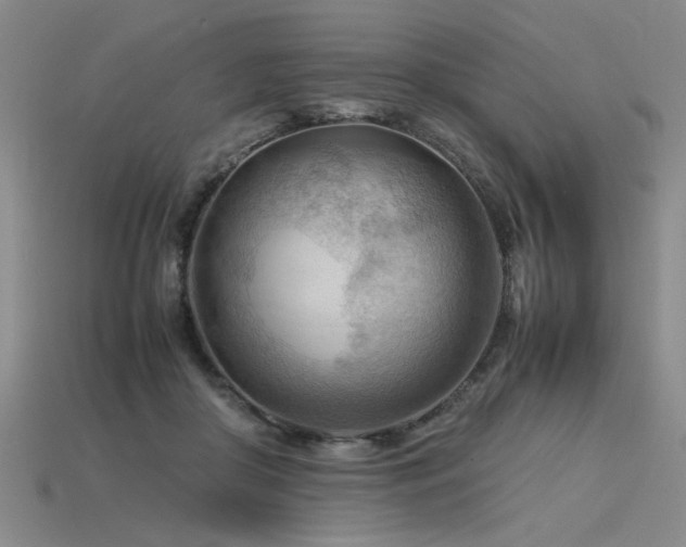 X0000115800410200911131404