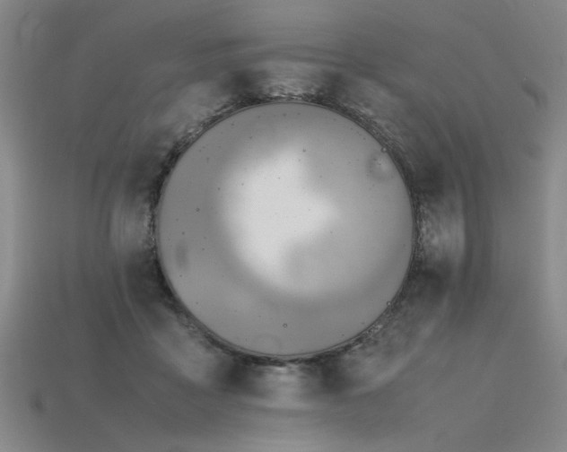 X0000115800411200911131404
