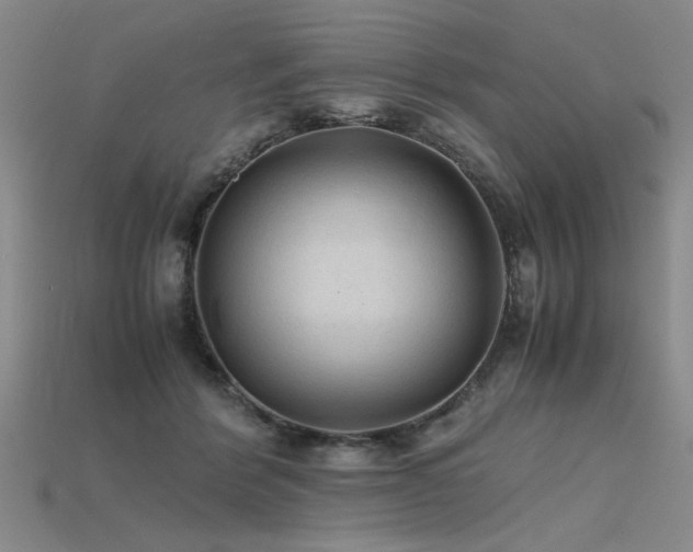 X0000115800412200911131404