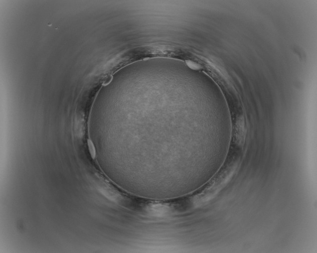 X0000115800413200911131404