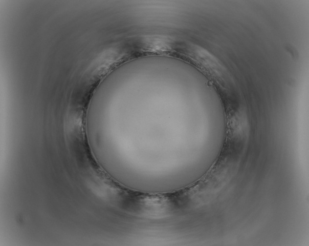 X0000115800415200911131403