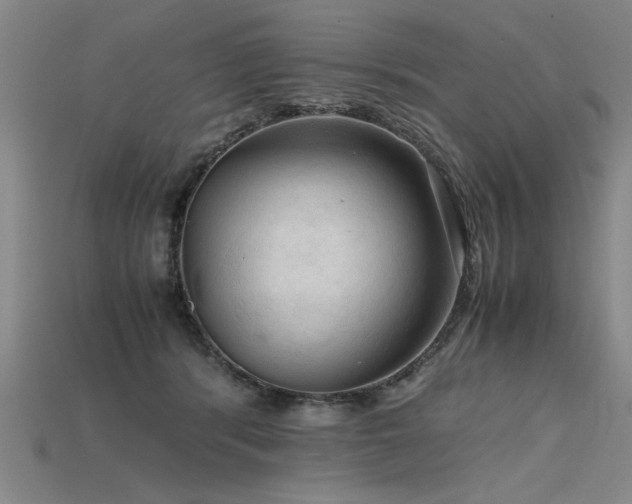 X0000115800416200911131403