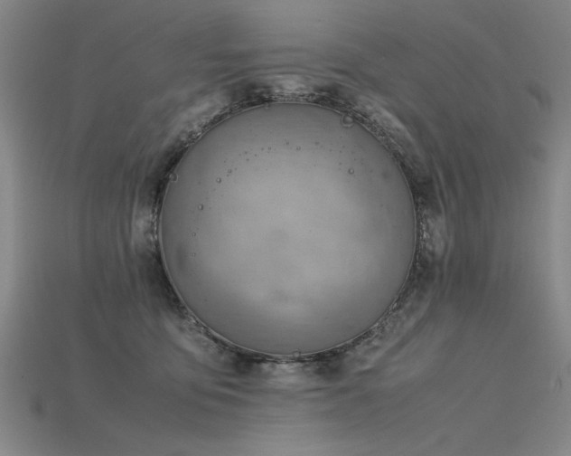 X0000115800419200911131403