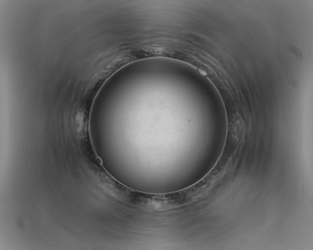 X0000115800420200911131403
