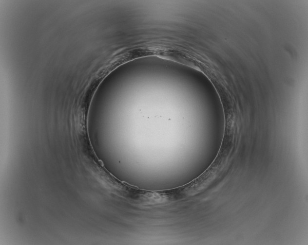 X0000115800421200911131403