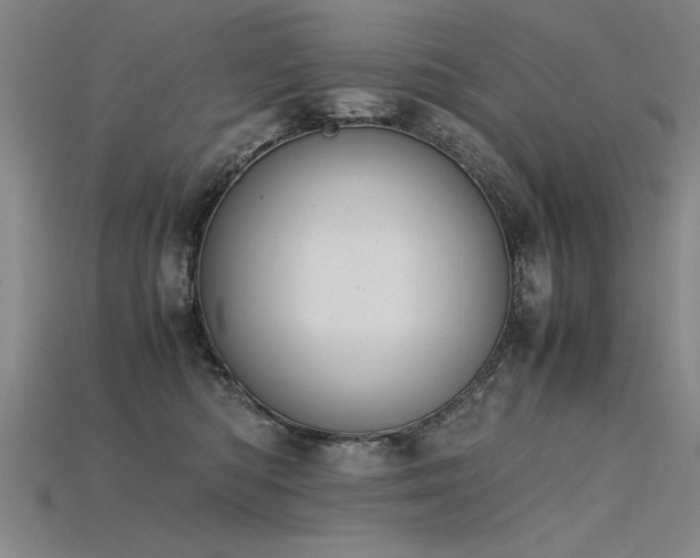 X0000115800422200911131403