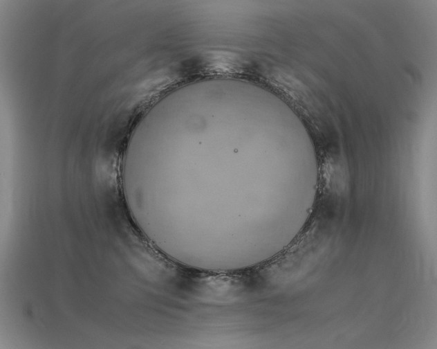 X0000115800423200911131403