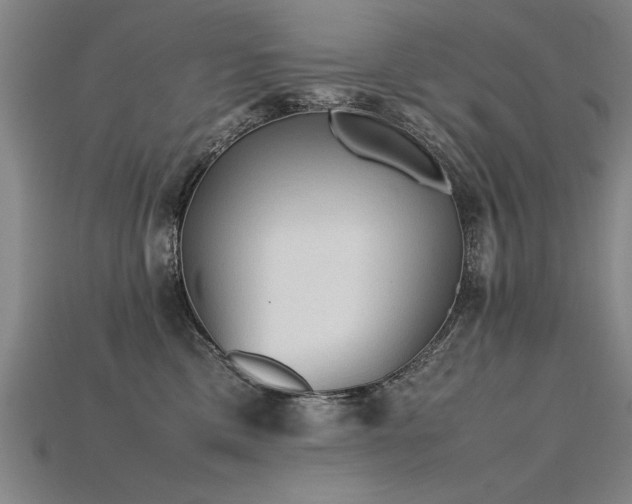 X0000115800425200911131403