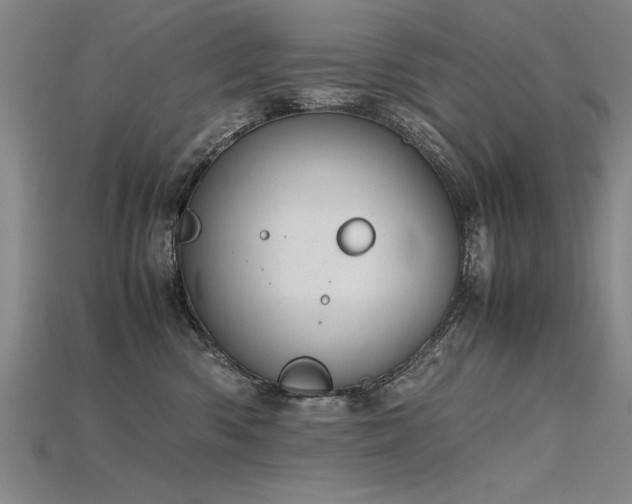 X0000115800426200911131403