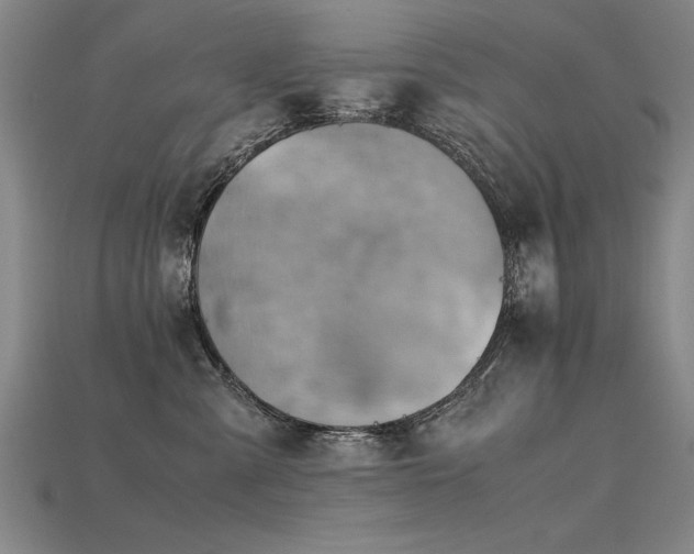 X0000115800427200911131403