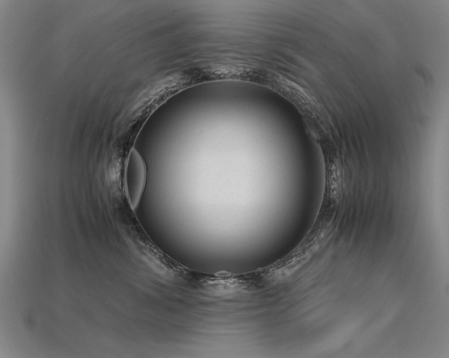 X0000115800428200911131403