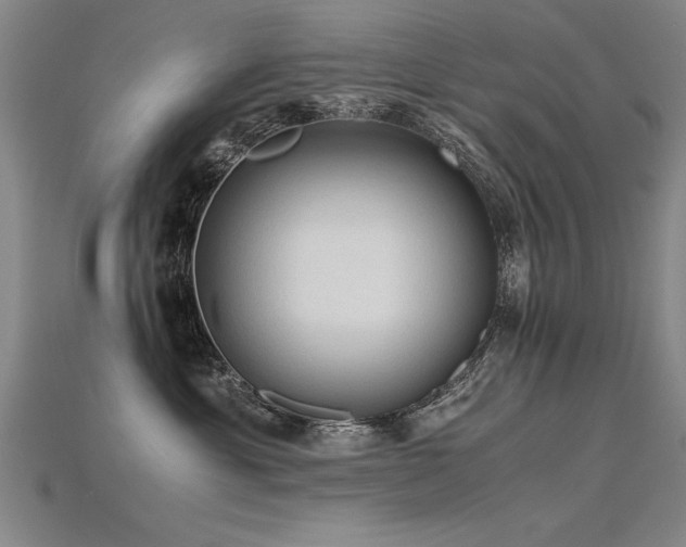 X0000115800429200911131403