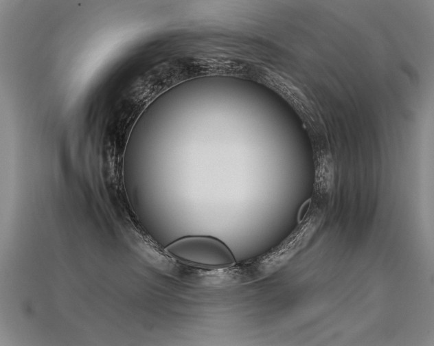 X0000115800430200911131403