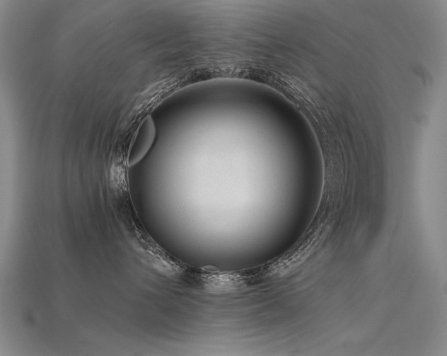 X0000115800432200911131403