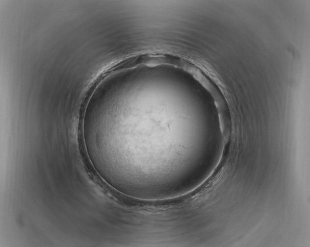 X0000115800434200911131402