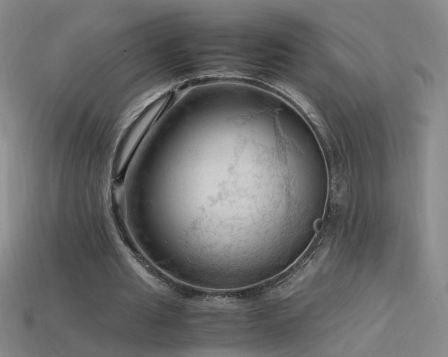 X0000115800437200911131402
