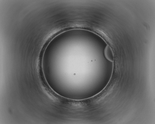 X0000115800439200911131403