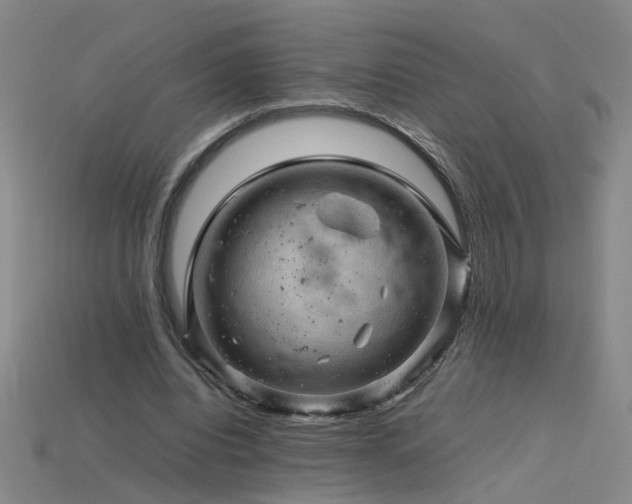 X0000115800440200911131403
