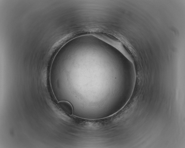 X0000115800442200911131403