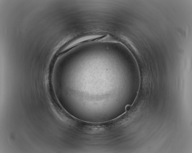 X0000115800443200911131403