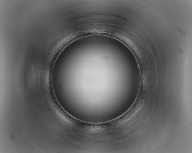 X0000115800445200911131403