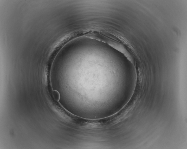 X0000115800446200911131403