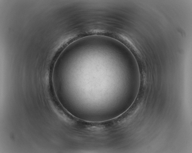 X0000115800447200911131403