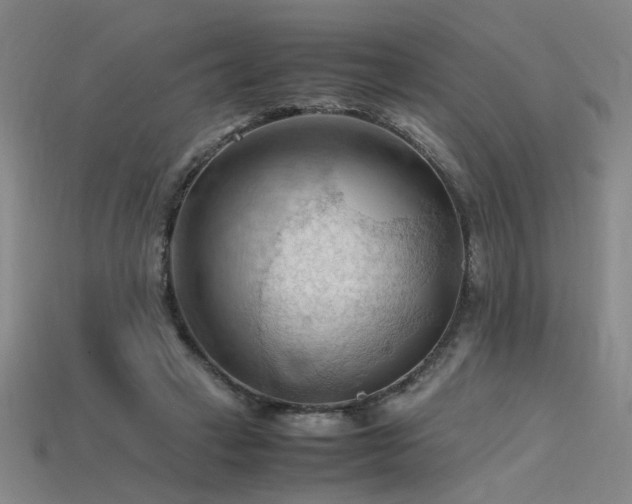 X0000115800449200911131403