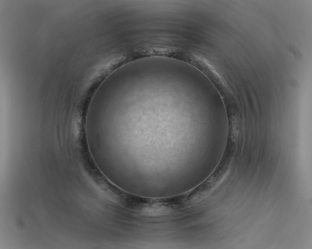 X0000115800451200911131403