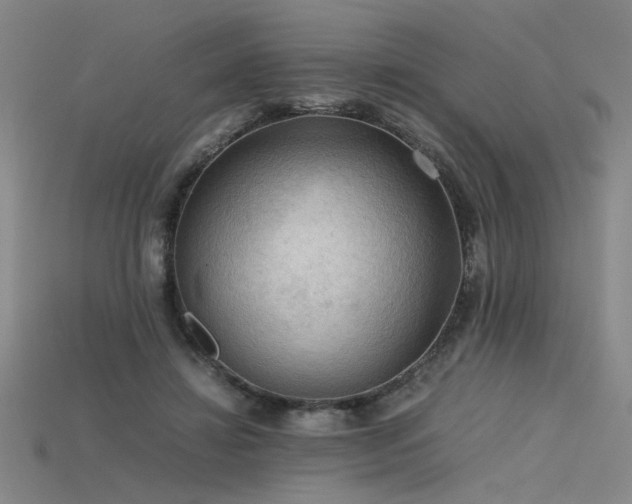 X0000115800452200911131403