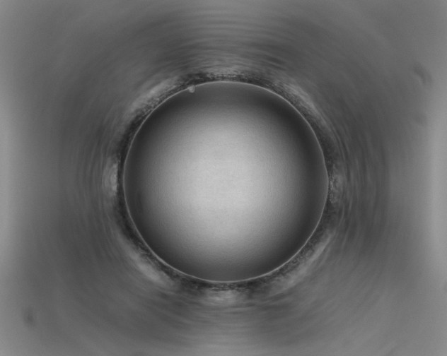 X0000115800454200911131403