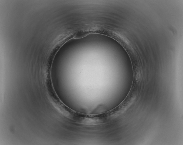 X0000115800455200911131403