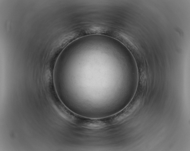 X0000115800459200911131403
