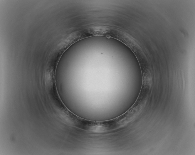 X0000115800460200911131403