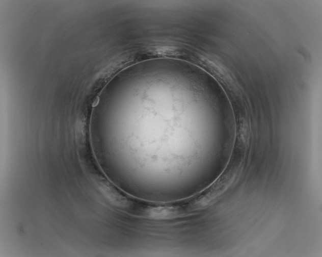 X0000115800461200911131403