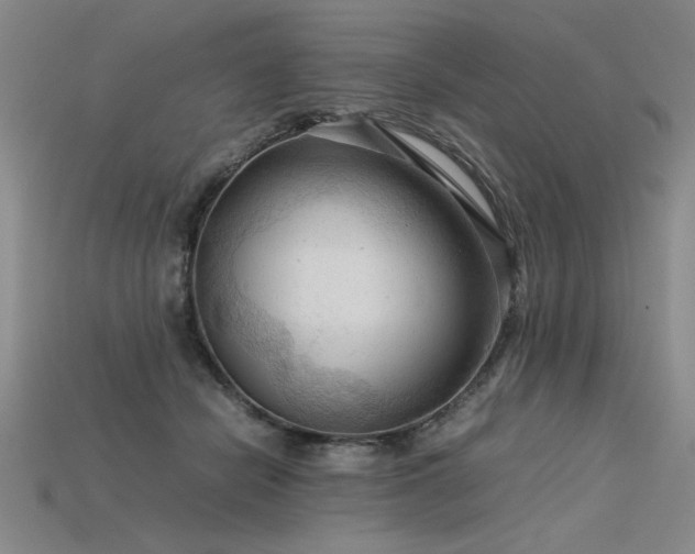 X0000115800462200911131403